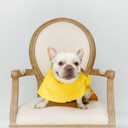 Pug Waterproof Poncho Reusable Festival Rain Cover Fun Dog Novelty Gift Idea