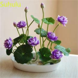 Lotus Purple 10PCs Seeds Flower Bonsai Bowl Aquatic Plants Water Midnight Home