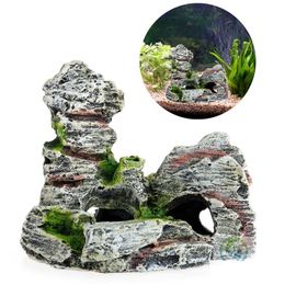 aquarium stuff online