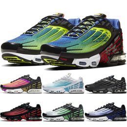 basket araignée nike