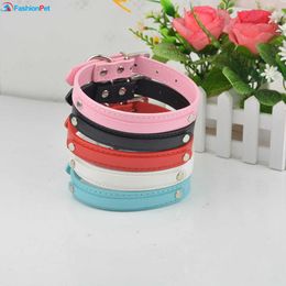 plain dog collars bulk