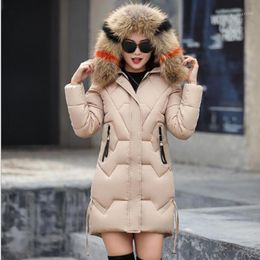 3XL Escudo manera coreana de la Mujer Mujeres Winter espesamiento delgado abajo chaqueta del algodón 