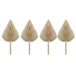 Hojas Guirnalda 5 Piezas De Hojas De Palma Secas Naturales Hojas Guirnalda 5 Piezas De Hojas De Palma Secas Naturales