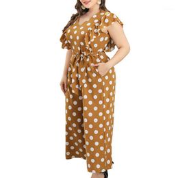 plus size cocktail pant sets