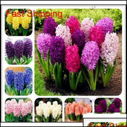 01A2-7449E Bunch of Hyacinths 01A2-7449E Bunch of Hyacinths
