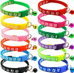 bulk cat collars