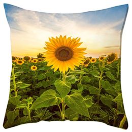 40/50/60cm Cojín Cuadrado De Terciopelo Funda De Almohada Funda De Almohada Sofá Office Hogar Decoración 40/50/60cm Cojín Cuadrado De Terciopelo Funda De Almohada Funda De Almohada Sofá Office Hogar Decoración