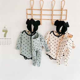 Conejo 2pc Como Las Medias De Sujeción De La Cola De Caballo Conejo 2pc Como Las Medias De Sujeción De La Cola De Caballo
