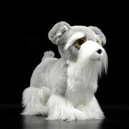 Compre Al Por Mayor Schnauzer Miniatura De Bajo Precio De Calidad Con Envio Gratuito Es Dhgate