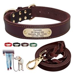 personalized dog leashes bulk