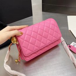 sphere clutch bolsa
