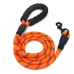 slip leashes for dogs bulk