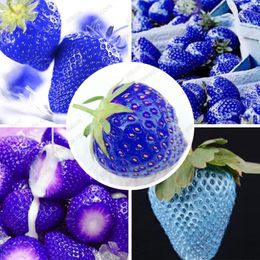 25-50-100-200 Sweet Blue Strawberry Fruit Seeds Buy Any 3 Get 1 FREE!!