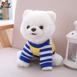 Toy Pomeranian Oferta Online Dhgate Com