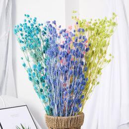 20pcs Dried Flowers Ginkgo Bouquet Home Wedding Party Bunch Xmas Floral Decor 20pcs Dried Flowers Ginkgo Bouquet Home Wedding Party Bunch Xmas Floral Decor