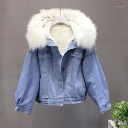 Fur Collar Denim Jacket Women Australia 