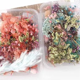 Wholesale Real Dried Flowers Buy Cheap In Bulk From China Suppliers With Coupon Dhgate Com