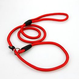 bulk slip leashes
