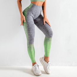 stretchable leggings online