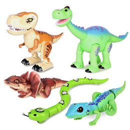 4 DIY Montaje Niños Dinosaurios Tyrannosaurus Rex Triangle 4 DIY Montaje Niños Dinosaurios Tyrannosaurus Rex Triangle