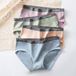 pakistani cutwork dresses