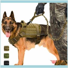 hunting dog supplies wholesale
