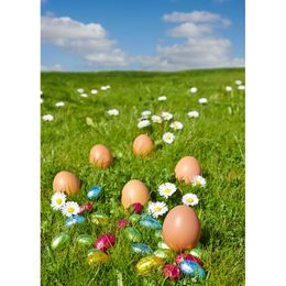 GladsBuy The Cute Egg Gifts 10 x 10 Digital Printed Photography Backdrop Easter Theme Background YHA-183 