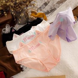 Lindo Animal Ropa Interior De Mujer Plátano Gato Impresión Lindo Animal Ropa Interior De Mujer Plátano Gato Impresión