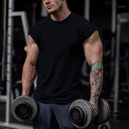 Camiseta de culturismo a la moda de Ropa nueva para hombre,camiseta de manga corta transpirable para Fitness,camisetas holgadas de gimnasio,Tops informales de verano,sudadera #Negro Camiseta de culturismo a la moda de Ropa nueva para hombre,camiseta de manga corta transpirable para Fitness,camisetas holgadas de gimnasio,Tops informales de verano,sudadera #Negro
