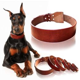 plain dog collars bulk