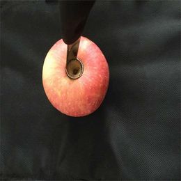 Buy Apple Seeds Online Shopping At Dhgate Com