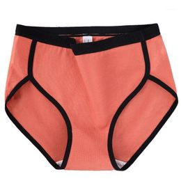 Details about Plus Size 80-110kg Women Ladies Silky Chiffon Briefs Panties Knickers Undies P06 Details about Plus Size 80-110kg Women Ladies Silky Chiffon Briefs Panties Knickers Undies P06