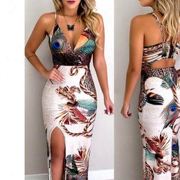 peacocks womens dresses