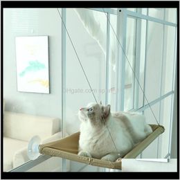 Pas Cher Fenetres Pour Chat Achetez Des Produits En Gros Du Canada En Ligne Depuis La Chine Dhgate Com France