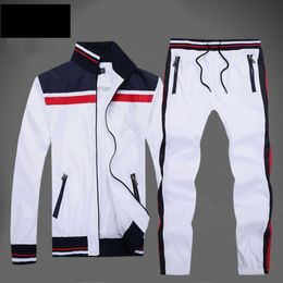 jogging suits polo