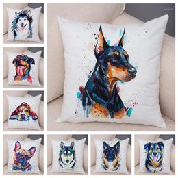 cute pillows online