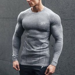 Gym Skin Tight T Shirt Online Shopping 