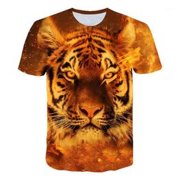 blusas morena rosa 2019