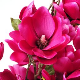 tall garden flowers online | tall garden flowers for sale tall garden flowers online | tall garden flowers for sale