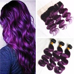 Purple Hair Dye Colors Suppliers Best Purple Hair Dye Colors