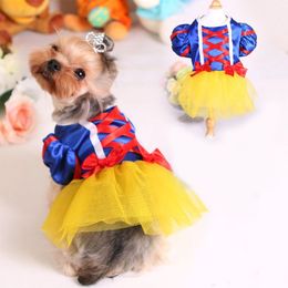 Pictures of chihuahuas in dresses Pictures of chihuahuas in dresses