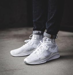 puma ignite 3 evoknit women's