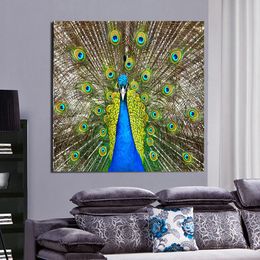 peacock decor for home online | peacock decor for home for sale peacock decor for home online | peacock decor for home for sale