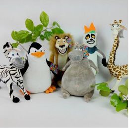animal soft toys online