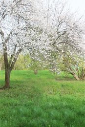 discount scenic digital backdrops 2018 scenic digital backdrops free digital backdrops