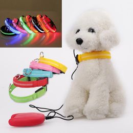 Glowing Dog Collar Canada Glowing Dog Collar Canada