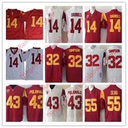 sam darnold jersey aliexpress sam darnold jersey aliexpress
