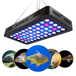 marine fish tanks online