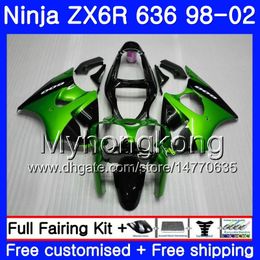17Gambarninja zx6rrNew