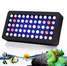 reef tank lights online